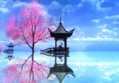 國(guó)際垃圾分類回收現(xiàn)狀
