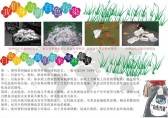 杜絕白色垃圾手抄報(bào)
