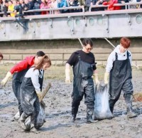 垃圾分類常識(shí)你知道多少？