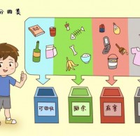 垃圾分類你教會小朋友了嗎？